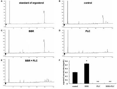 Requirement for Ergosterol in Berberine Tolerance Underlies Synergism of Fluconazole and Berberine against Fluconazole-Resistant Candida albicans Isolates